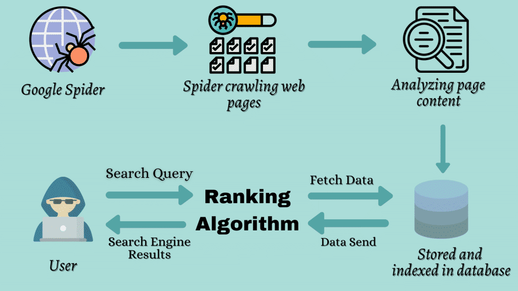 How webpages crawling indexing process works